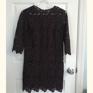 LOFT Maroon Lace Shift Dress 3/4 Sleeves